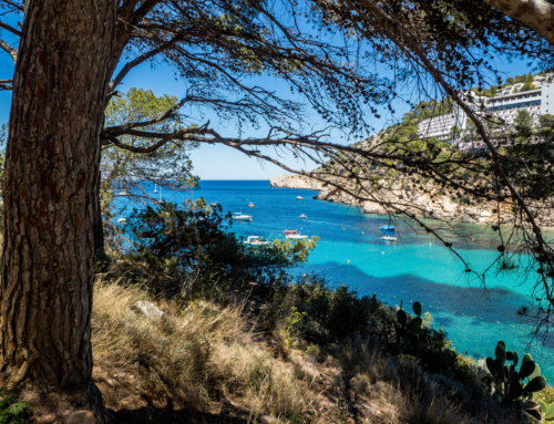 Las 10 playas imprescindibles de Ibiza