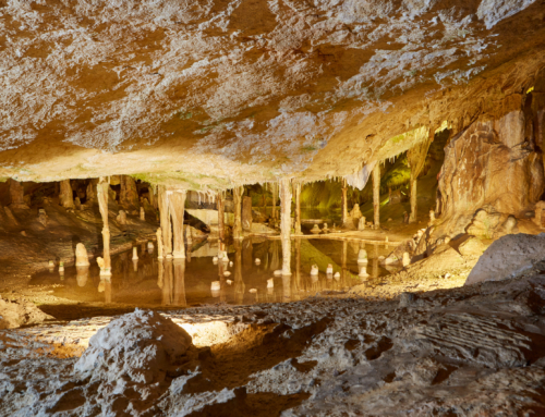 Discover the Cova de Can Marçà Cave with Family