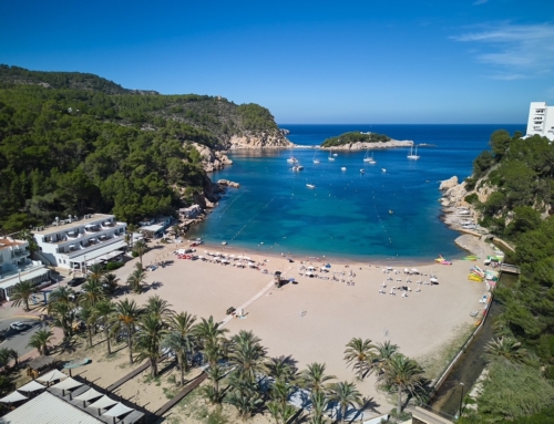 Guía de Snorkel en el Puerto de San Miguel (Ibiza): Especies Marinas y su Exposición Submarina